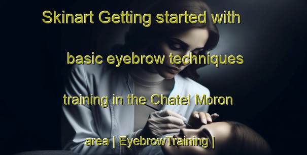 Skinart Getting started with basic eyebrow techniques training in the Chatel Moron area | EyebrowTraining | EyebrowClasses | SkinartTraining-France